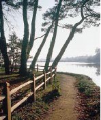 Le our de l'anse du bourg